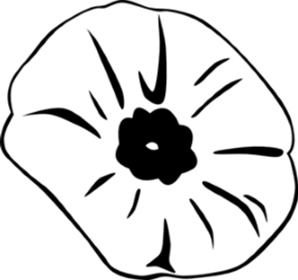 poppy