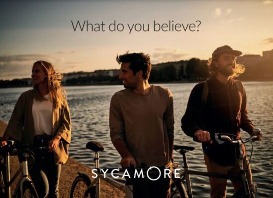 sycamore